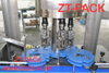 Automatic Single Head ROPP Aluminum Cap Closure - FG-1